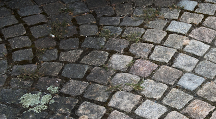 DESINFICERING GRÖNFRI BIOCID