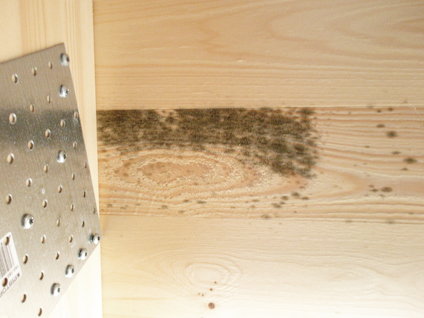 Träpanel med svart mögel och en metallfäste med skruvar till vänster.